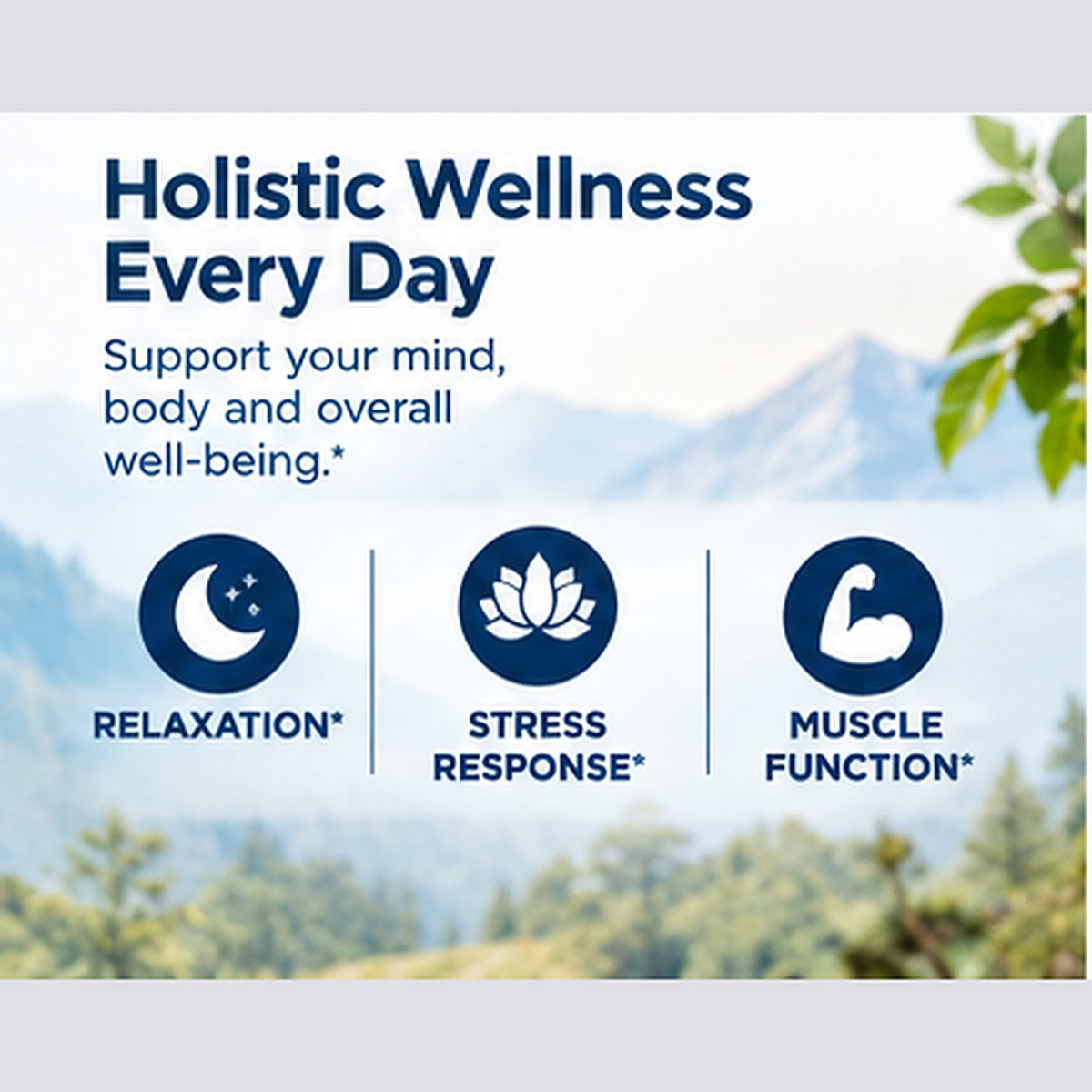 Kurryculum Magnesium Glycinate for holistic wellness