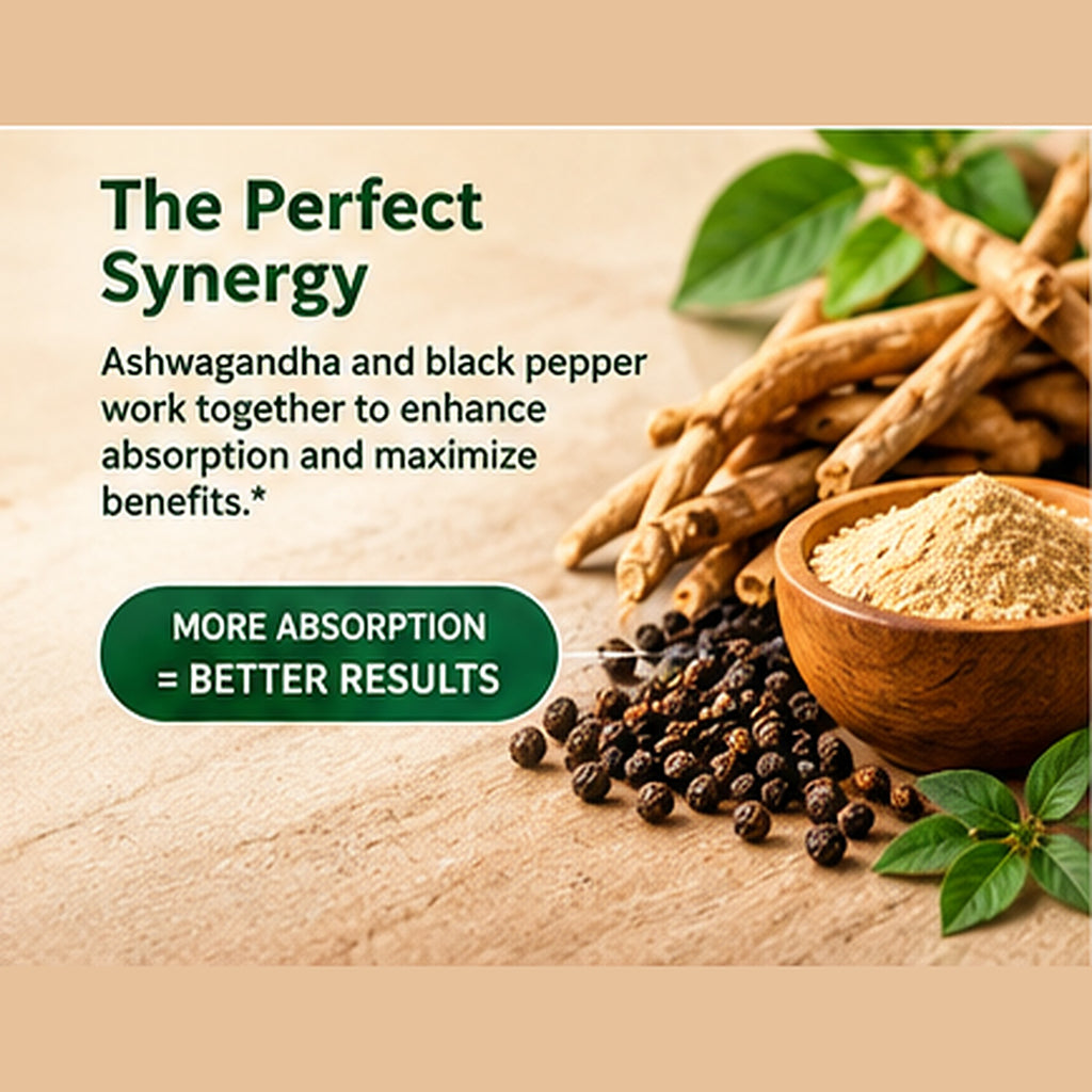 Kurryculum Ashwagandha + Black Pepper — Stress & Calm Support