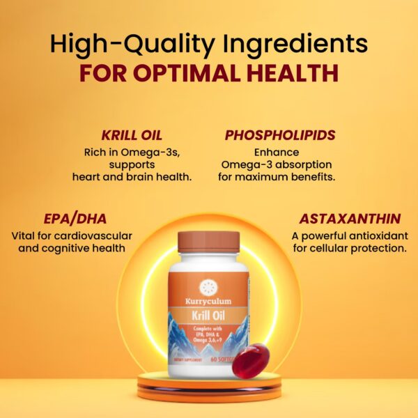 Kurryculum Omega-3 Supplement for Brain, Heart and Joint Health, 60 Softgels - Image 2
