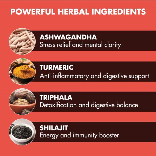 7 Chakra Ayurvedic Complex for Adults (60 Count) with Ashwagandha, Turmeric and Shilajit - Image 3
